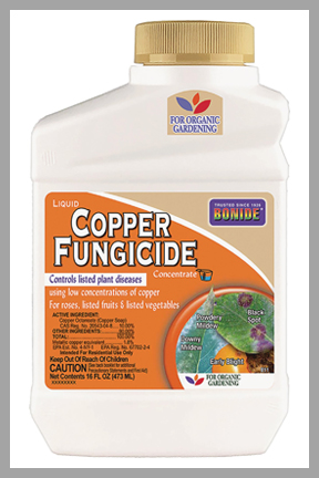 Liquid Copper Fungicide Concentrate 16 Fl. Oz.