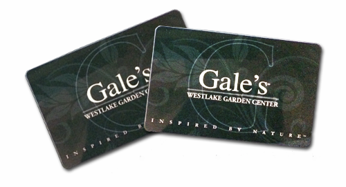 Gale's Westlake's Gift Cards