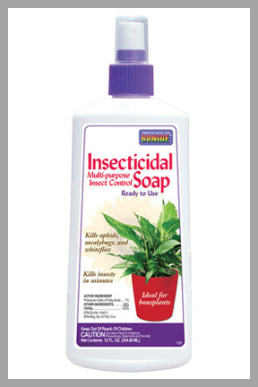 Insecticidal Soap Houseplant Spray 12 Fl. Oz.