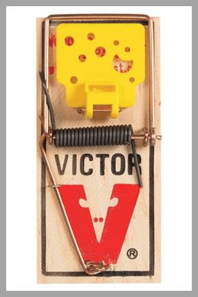 Victor Plastic Pedal Mouse Traps (2-Pack)